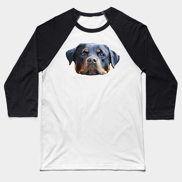 The Rottweiler the best dog for you Baseball T-Shirt by Hujer